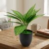 Artificial Aglaonema / Chinese Evergreen