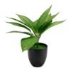Artificial Aglaonema / Chinese Evergreen