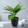 Artificial Aglaonema / Chinese Evergreen