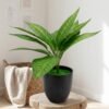 Artificial Aglaonema / Chinese Evergreen
