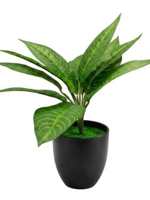 Artificial Aglaonema / Chinese Evergreen