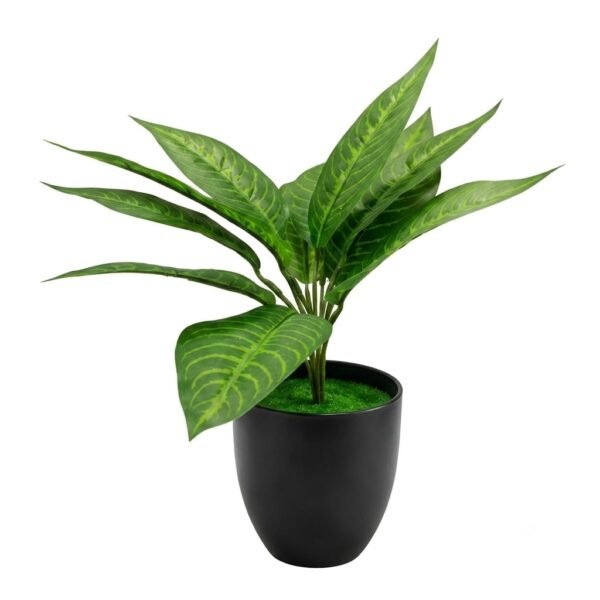 Artificial Aglaonema / Chinese Evergreen