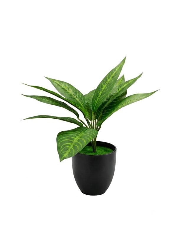 Artificial Aglaonema / Chinese Evergreen