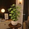 Artificial Golden Pothos Plant
