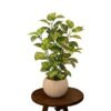 Artificial Golden Pothos Plant