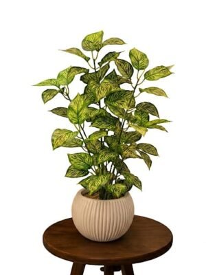 Artificial Golden Pothos Plant