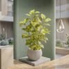 Artificial Golden Pothos Plant