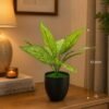 Faux Aglaonema (Chinese Evergreen) 1 Faux Aglaonema (Chinese Evergreen)