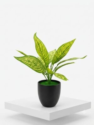 Faux Aglaonema (Chinese Evergreen)
